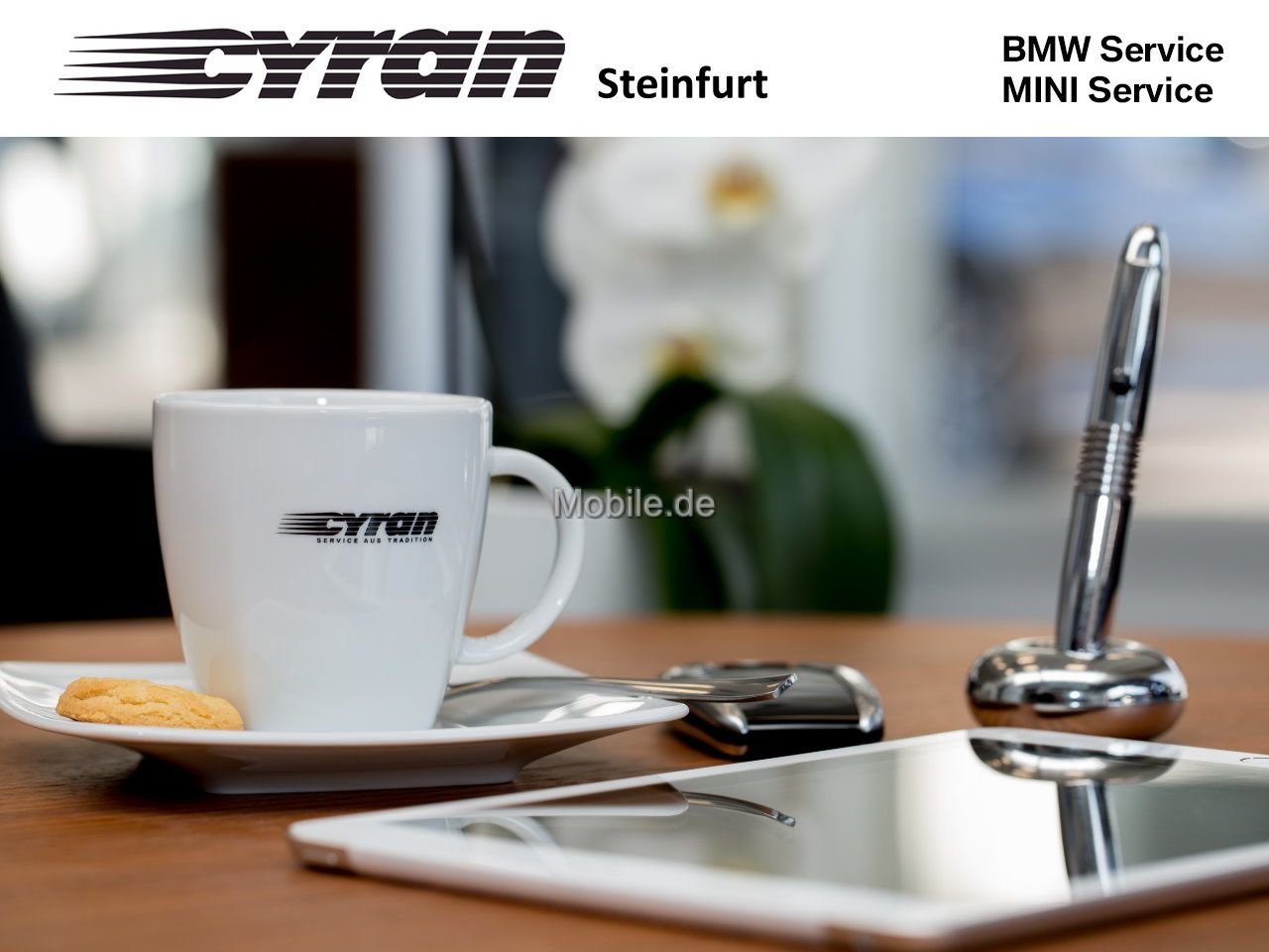 Fahrzeugabbildung BMW X1 xDrive25e