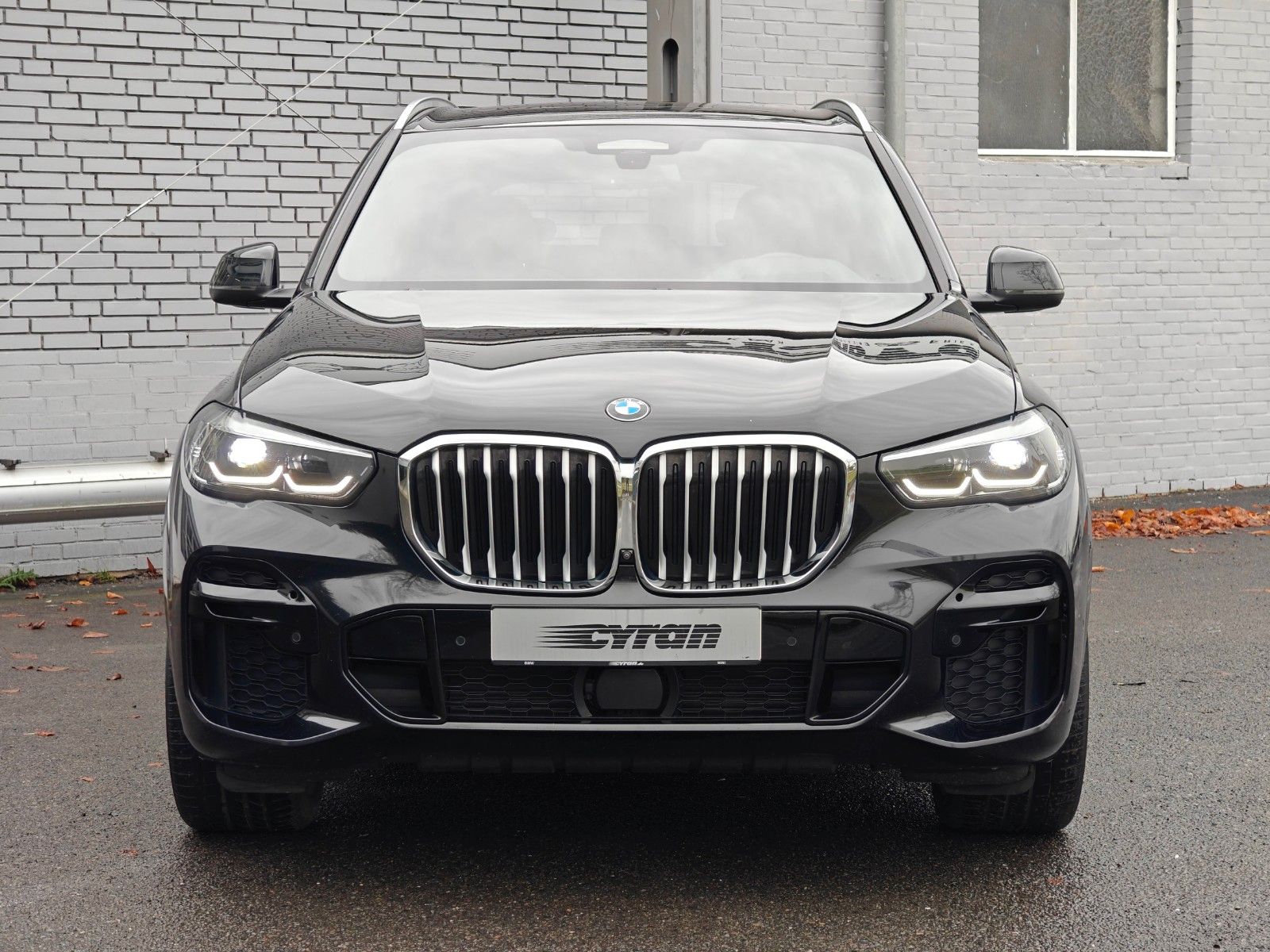 Fahrzeugabbildung BMW X5 xDrive 30d M Sport