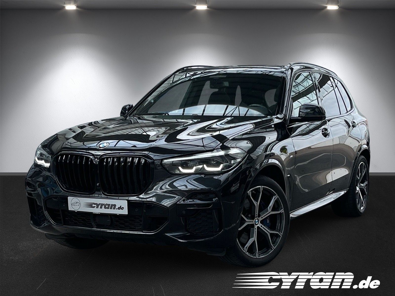 Fahrzeugabbildung BMW X5 xDrive 30 d M Sport